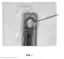 Fig. 02 - Analyte Sensors Including Nanomaterials and Methods of Using Same