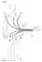 Fig. 01 - Electrode Lead Set for Measuring Physiologic Information