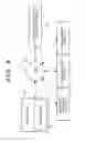 Fig. 04 - Medical image processing apparatus for examining an eye to determine the stage of glaucoma