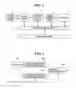 Fig. 02 - ULTRASOUND DIAGNOSTIC IMAGING DEVICE, AND METHOD FOR GENERATING ULTRASOUND IMAGES