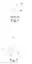 Fig. 02 - Toe extroversion correction device