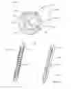 Fig. 09 - Device for injecting apportioned doses of liquid drug