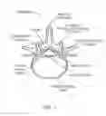 Fig. 02 - Tissue access guidewire system and method
