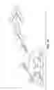 Fig. 02 - Method and apparatus for allograft disc transplantation