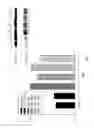 Fig. 08 - Composition used for increasing calmodulin and method thereof