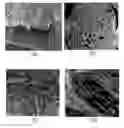 Fig. 01 - Structurally modified acellular tissue engineering scaffolds and methods of production