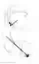 Fig. 06 - Ligament And Tendon Prosthesis