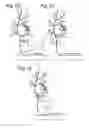Fig. 02 - Method and device for the removal of a leaf from a crop