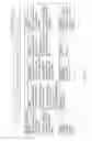 Fig. 10 - INFORMATION NERVOUS SYSTEM