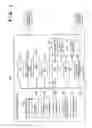 Fig. 02 - Information processing apparatus and method of backing up memory in said apparatus