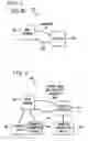 Fig. 04 - System and method for call path enforcement