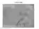 Fig. 01 - Control of Exocrine Pancreatic Function Using Bone Morphogenetic Proteins