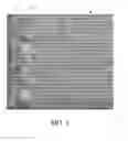 Fig. 02 - Crop Automated Relative Maturity System