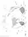 Fig. 02 - GLOVE WITH CONDUCTIVE FINGERTIPS