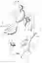 Fig. 02 - Swimming goggles