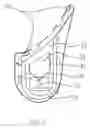 Fig. 06 - Swimming goggles