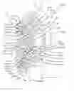 Fig. 01 - Oral Care Implement Having Diverging Cleaning Elements