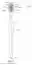 Fig. 03 - Oral Care Implement Having Diverging Cleaning Elements
