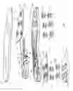Fig. 02 - Sole construction for shoe having self-pumping extendable spikes