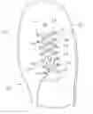 Fig. 01 - ELASTIC CORD