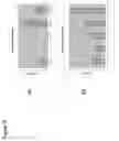 Fig. 13 - Production of Oil in Microorganisms
