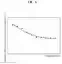 Fig. 08 - EXHAUST SYSTEM