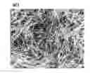 Fig. 01 - Methods for controlling metal nanostructures morphology