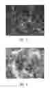 Fig. 07 - Methods for controlling metal nanostructures morphology