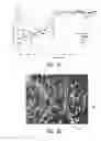 Fig. 09 - Methods for controlling metal nanostructures morphology