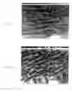 Fig. 09 - Machining apparatus and process