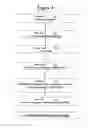 Fig. 02 - Methods and Systems for Abrasive Cleaning and Barrier Coating/Sealing of Pipes