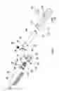 Fig. 02 - Pet brush with replaceable bristle member