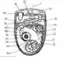 Fig. 01 - Device for dispensing a fluid product