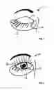 Fig. 02 - Composition of matter comprising a semi-permanent mascara and process to professionally apply the same