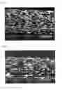 Fig. 07 - Blow-molded foam and process for producing the same