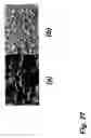 Fig. 34 - Amorphous alloy materials