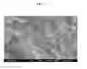 Fig. 03 - High performance adhesive compositions