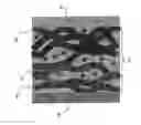 Fig. 01 - TITANIUM OR TITANIUM ALLOY, ADHESIVE RESIN COMPOSITION, PREPREG AND COMPOSITE MATERIAL