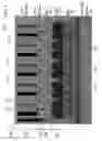 Fig. 02 - Architecture for gas cooled parallel microchannel array cooler