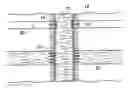 Fig. 01 - Methods of fluid placement and diversion in subterranean formations