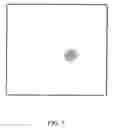 Fig. 08 - High throughput screen