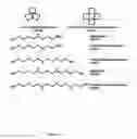 Fig. 04 - Method for finger-printing heparins