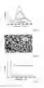 Fig. 02 - ELECTRODEPOSITION METHOD FOR THE PRODUCTION OF NANOSTRUCTURED ZNO