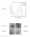Fig. 06 - Electrochemical cell including a plasma source and method of operating the electrochemical cell
