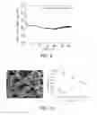 Fig. 07 - Compositions, electrodes, methods, and systems for water electrolysis and other electrochemical techniques