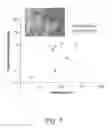Fig. 08 - Nanostructured sorbent materials for capturing environmental mercury vapor