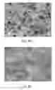 Fig. 09 - Nanostructured sorbent materials for capturing environmental mercury vapor