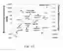 Fig. 11 - Nanostructured sorbent materials for capturing environmental mercury vapor