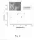 Fig. 08 - NANOSTRUCTURED SORBENT MATERIALS FOR CAPTURING ENVIRONMENTAL MERCURY VAPOR
