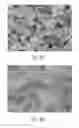 Fig. 09 - NANOSTRUCTURED SORBENT MATERIALS FOR CAPTURING ENVIRONMENTAL MERCURY VAPOR